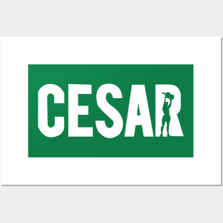 Celtic family unites in support of Cesar t-shirt for charity 2020 Posters and Art